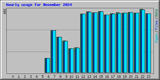 Hourly usage for November 2024