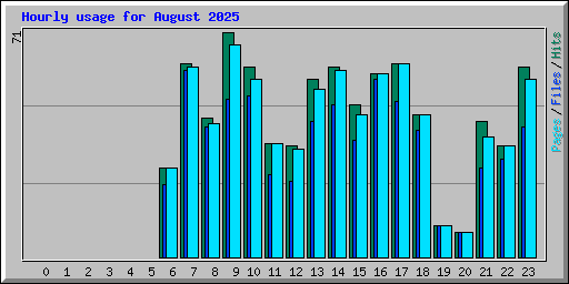 Hourly usage for August 2025