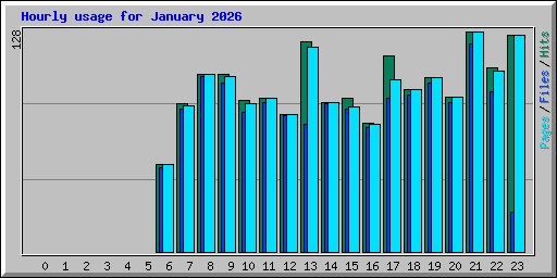 Hourly usage for January 2026